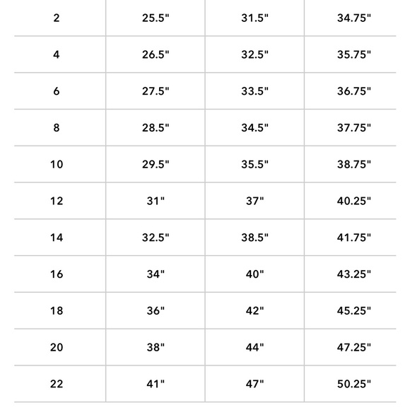 NWOT American Eagle AE Next Level Stretch Hi Rise Jegging 14 Long Skinny Jean - Picture 4 of 4